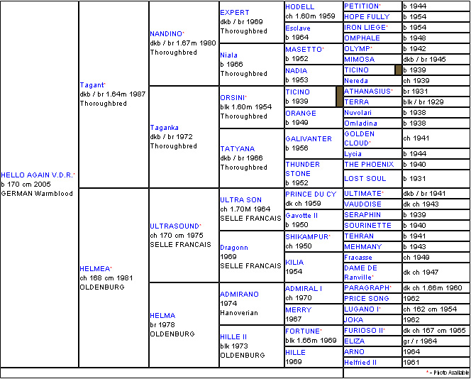 Hello Again pedigree