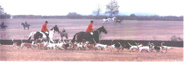 Penhaligon Blueprint (Alfie)