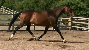 Mill Race 11