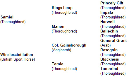 Mill Law pedigree