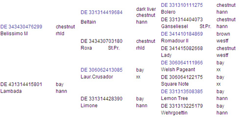 Bonifatius pedigree