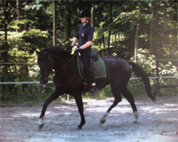 Lilian in her youth  ridden by Aylin Besteher.