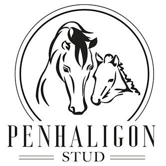 Penhaligon Stud