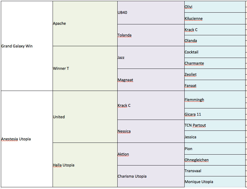 Galaxy Utopia (Georgia) pedigree