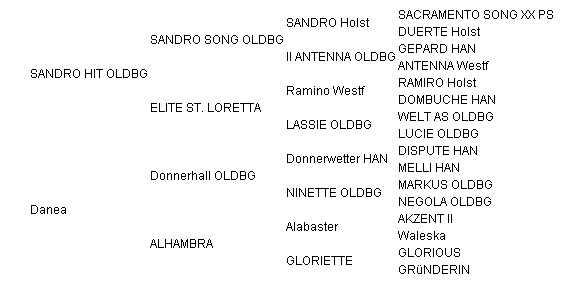 Soliman de Hus pedigree