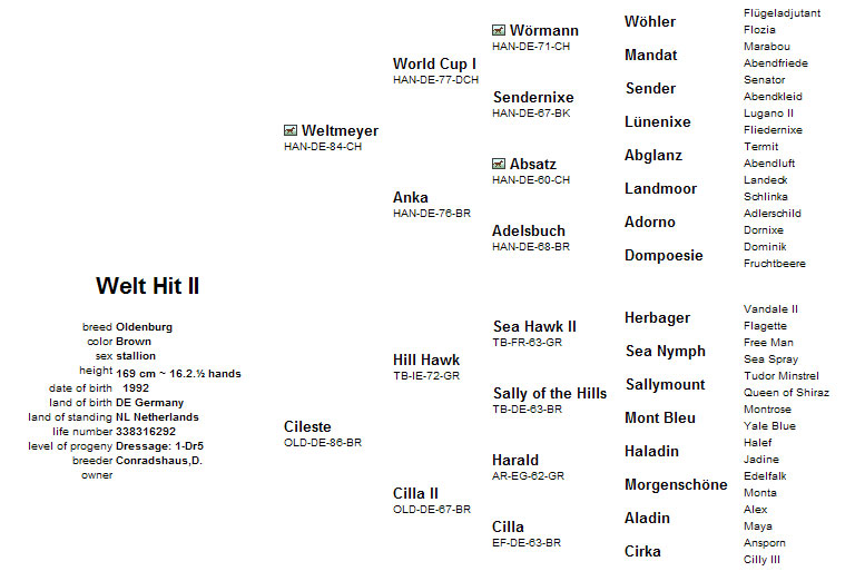 Welt Hit 11 progeny